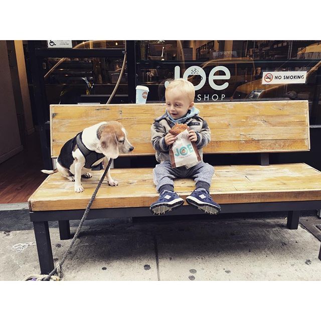 ninikos panourgias 7fd0b