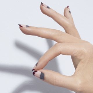 12142080 1630536983865759 1050407926 n 6c4c5