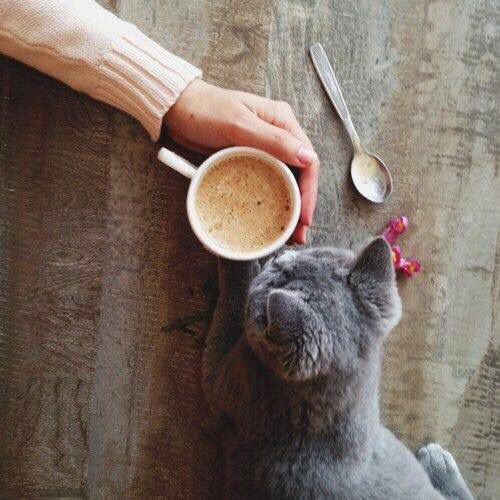 tumblr nf3a0m2B5e1s9l11do1 500 0ff60