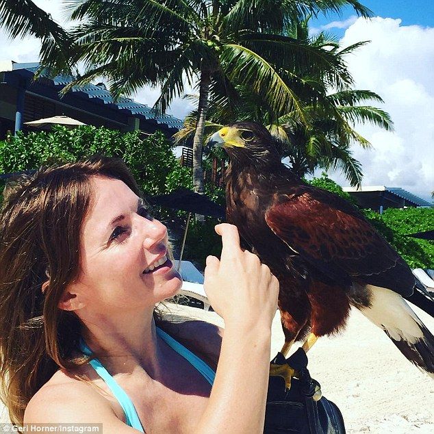 2DE713F400000578-3294725-image-a-29 1446107654929 9f50c