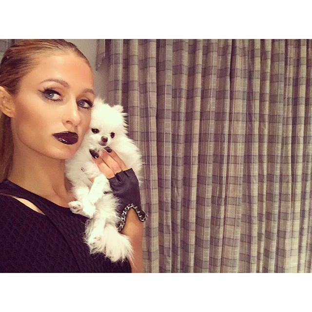 12107564 1638390249749834 636044089 n 02440