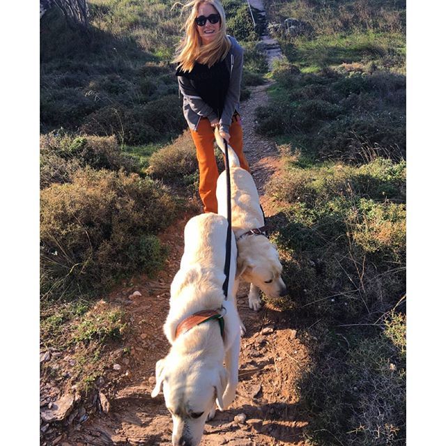 12145113 1517961768527043 826649258 n c9fdc