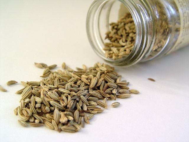 Fennel seed 2fa13