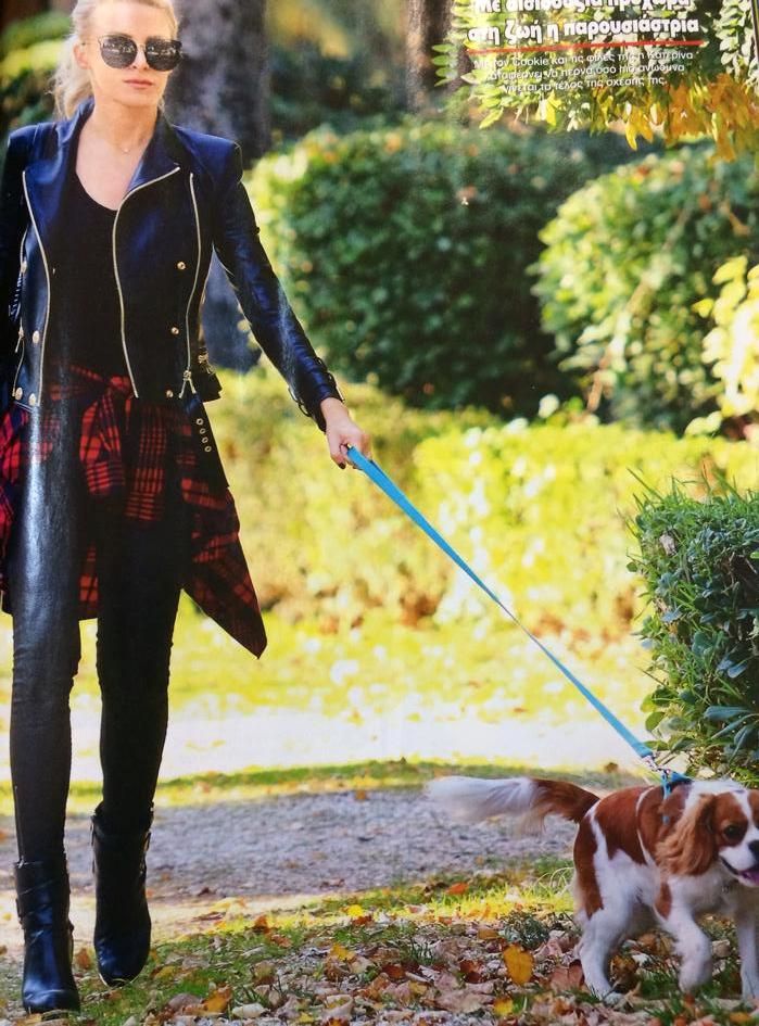 kainourgiou skylos volta 6662f