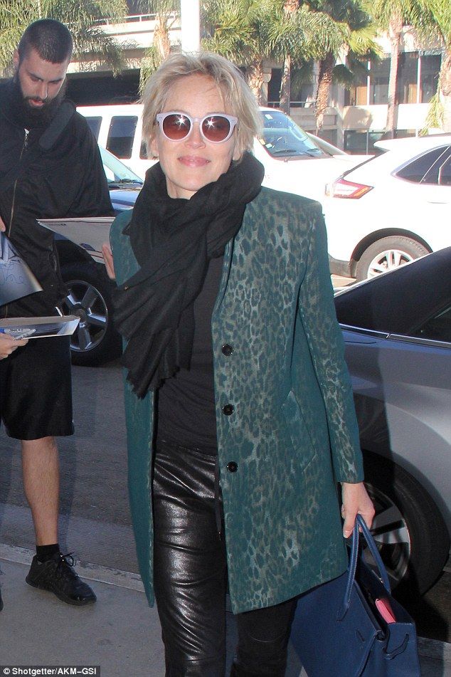 2E823C0600000578-0-image-a-2 1447721005911 04ffe