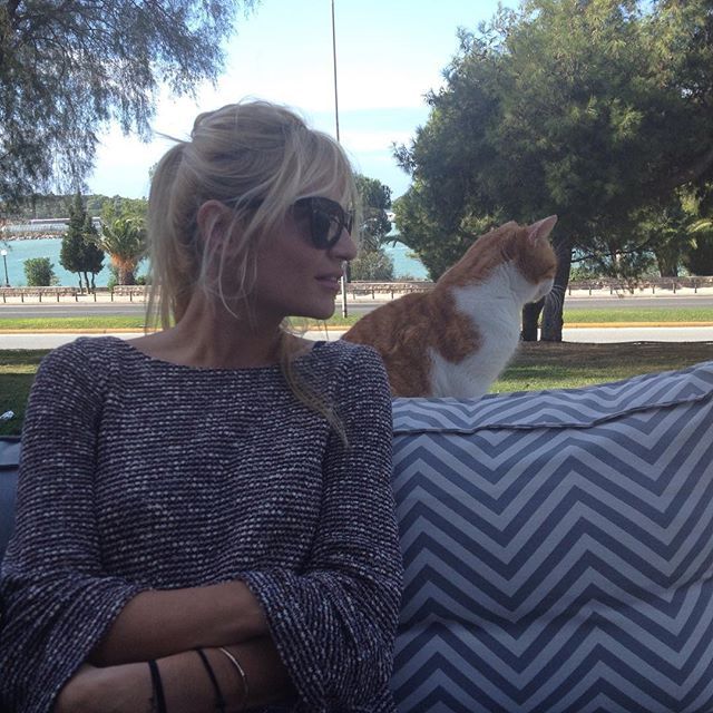 12237260 1517191835268093 1354617357 n 1198e