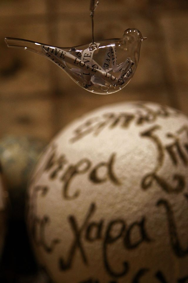 12314285 10208659358789945 4570467525522334391 o 203d2