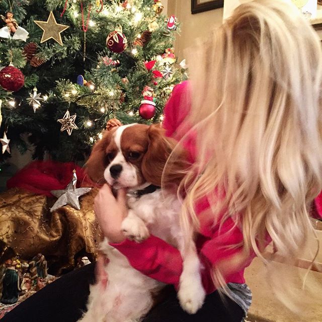 katerina kainourgiou xmas tree 2015 e57a1