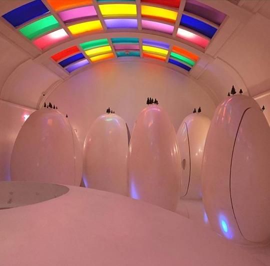 12387900 999716493403285 1207828650 n f0f02