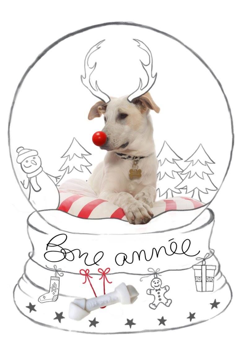 12239149 758298070941854 3023736631851587430 o a5b68