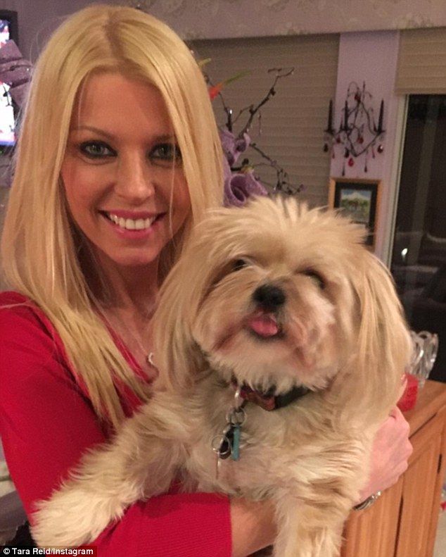 2FA0732C00000578 0 image m 13 1451177478980 9209f