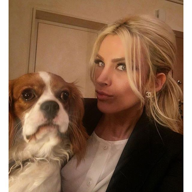 12568090 1956609861229831 1445720400 n 95129