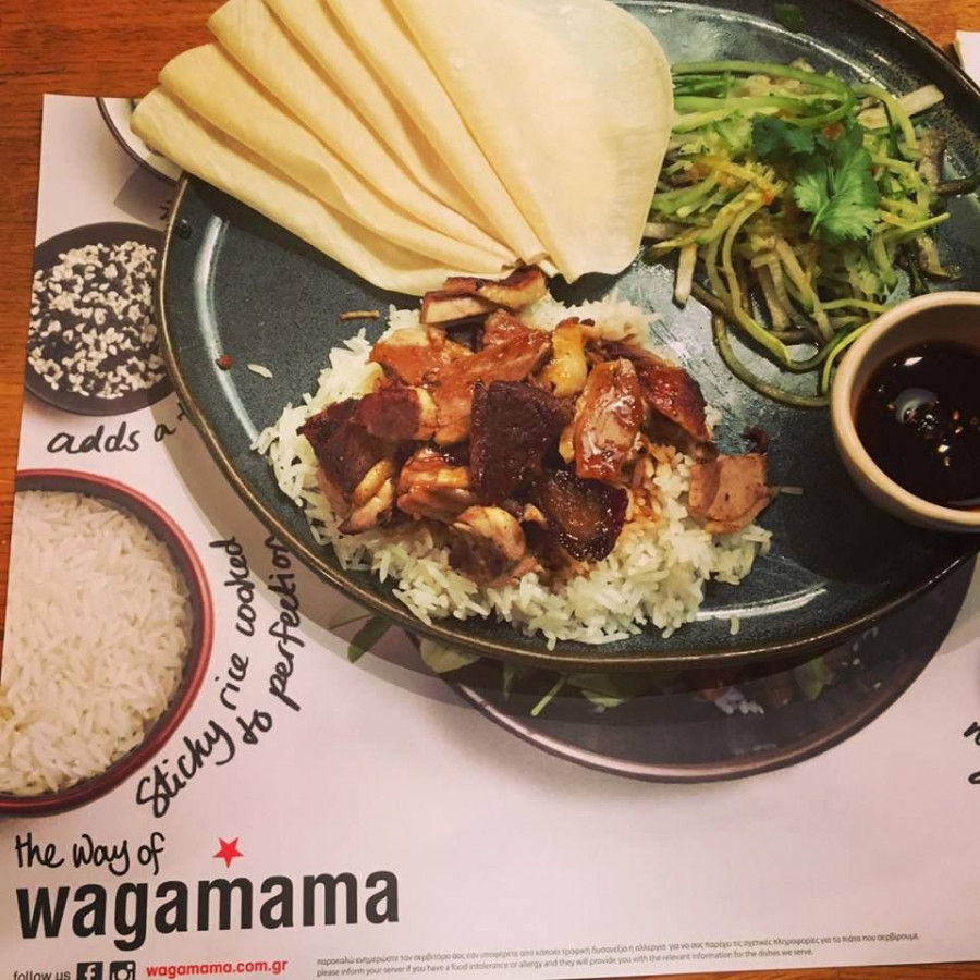wagamama13 37a45