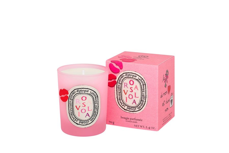 rosaviola candlepack 70 hd 28578