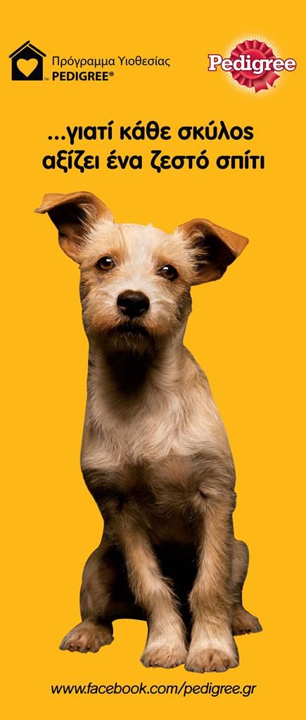 Mars RollUp Pedigree f9d67