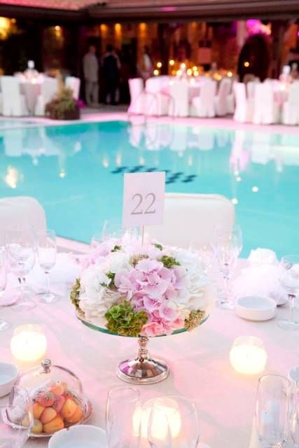 484878 239448026236946 1605054437 n 24112