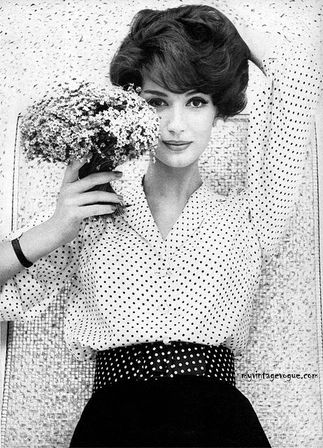 07312499c59f8c8a4b0db3fad2a33533 53050