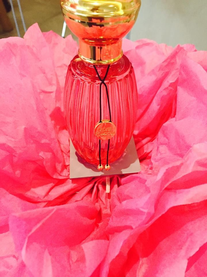 12064401 1034645826607454 2106208218 n a00aa