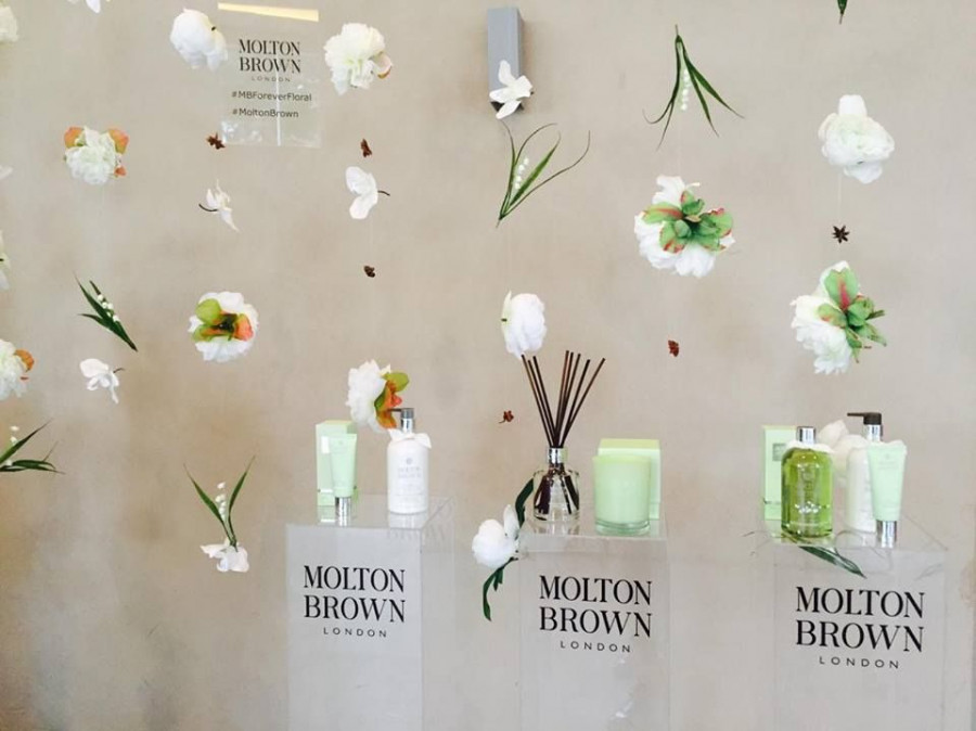 12336112 1034645819940788 876617705 n 9e366