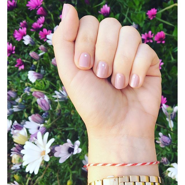 12383365 1275479385800169 1728655395 n 9224d