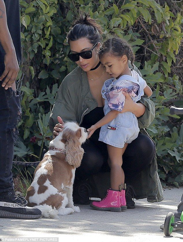 32CFAC5300000578 0 image a 9 1459737523128 91fc5