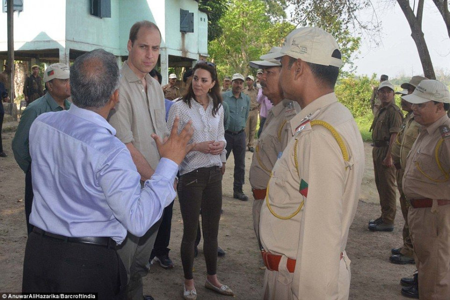 33207CEE00000578 3537143 image a 33 1460527715245 915cc