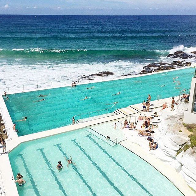 12530694 197841947269755 1873332464 n 24679