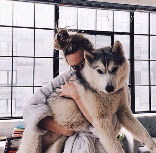 tumblr o5fgqdIsxd1s8zrsjo1 500 46505