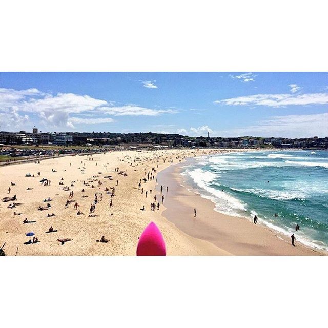 12724953 1608065142848290 933672931 n 5191d