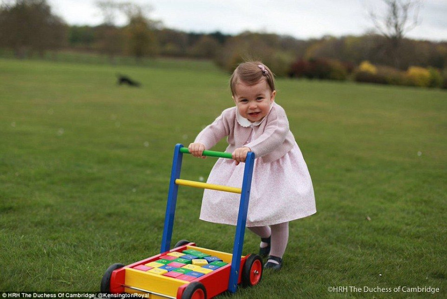 33B576BB00000578 3567947 image a 78 1462097541156 2951b