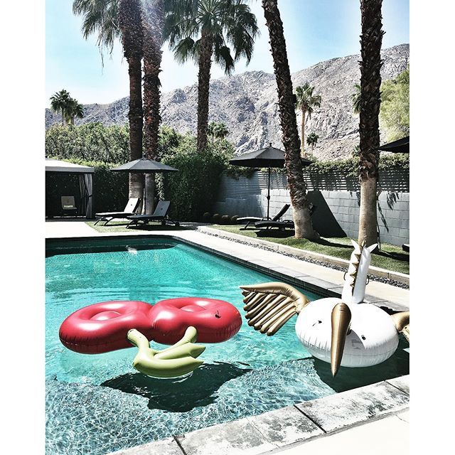 12530875 143731219359210 571985149 n 17333