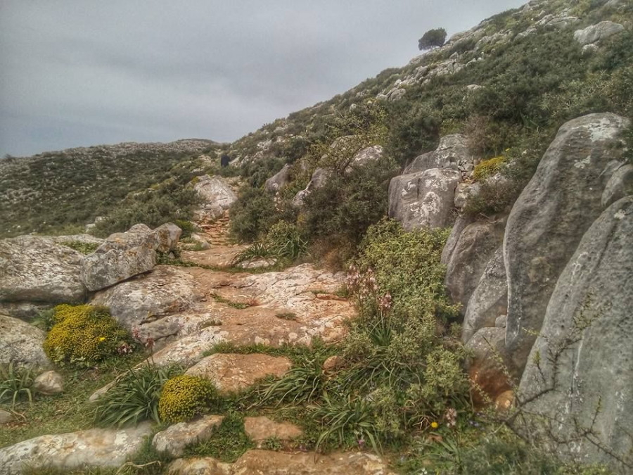 13227234 248327165534210 5275660668757324802 n 5218a