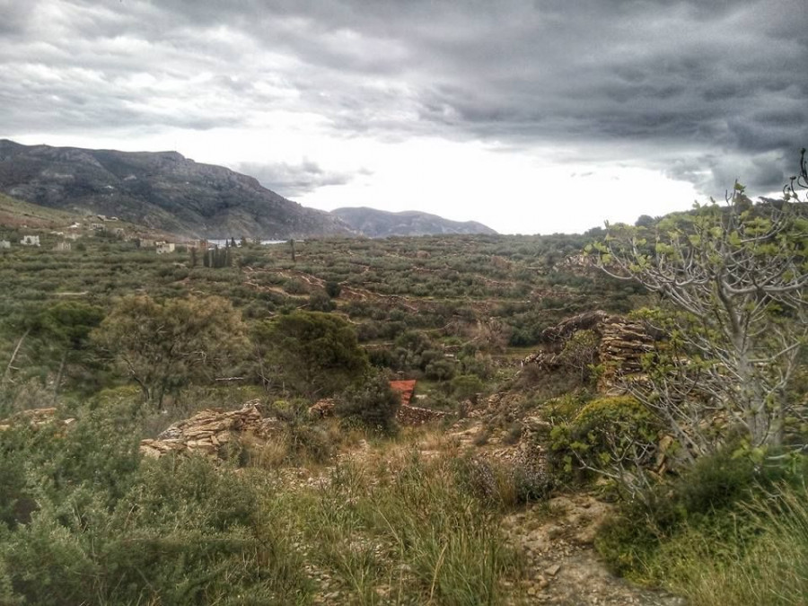 13263926 248327152200878 6237020362688661170 n 140b8