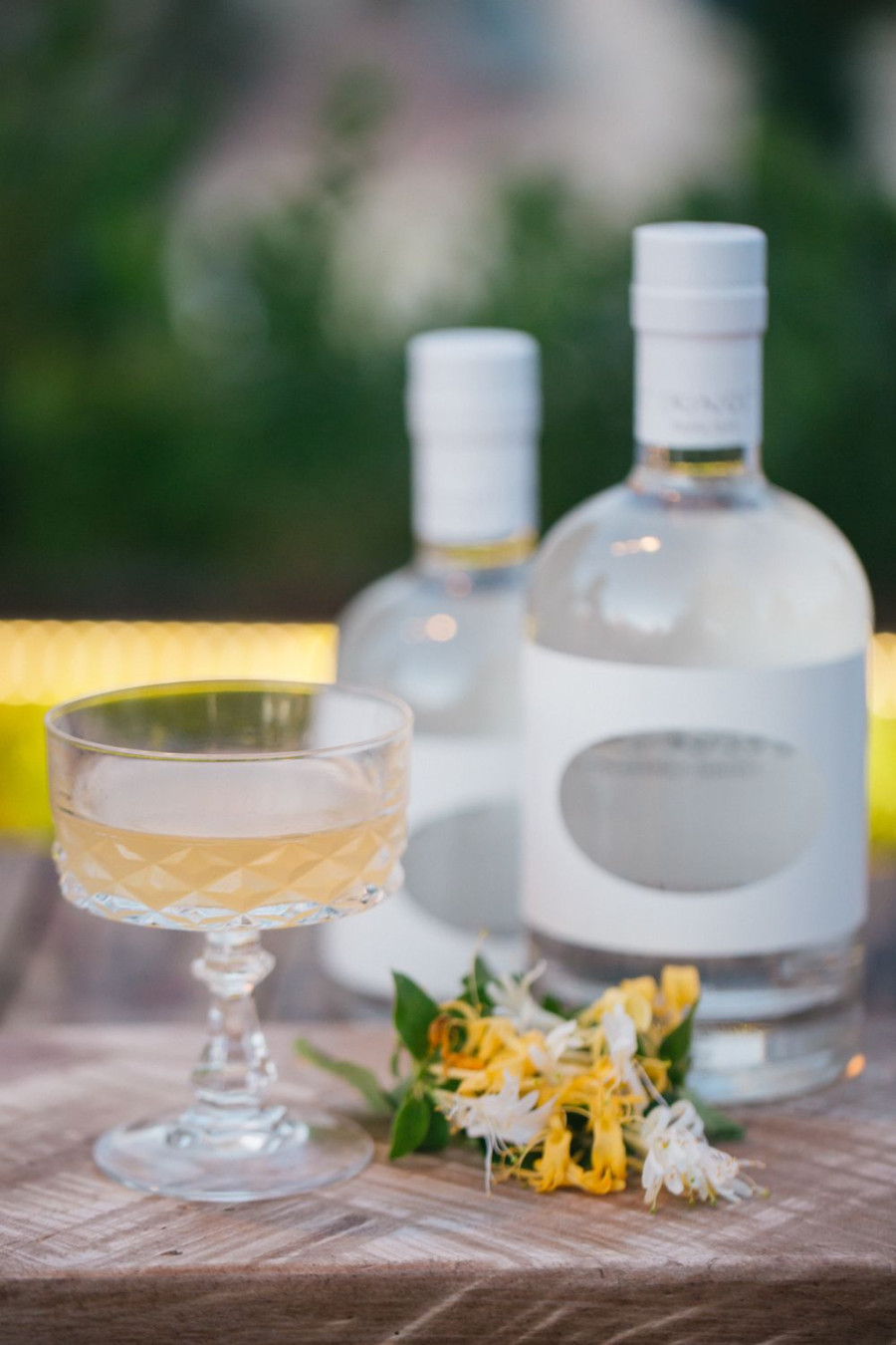 Skinos MCC 2016 launch 1 11fee