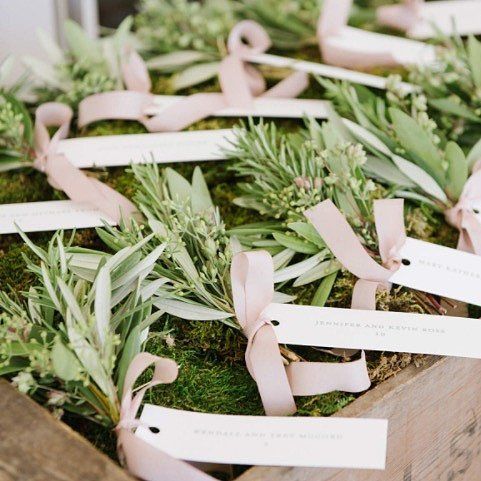 Give guests own plants take home wedding favor 9a39a