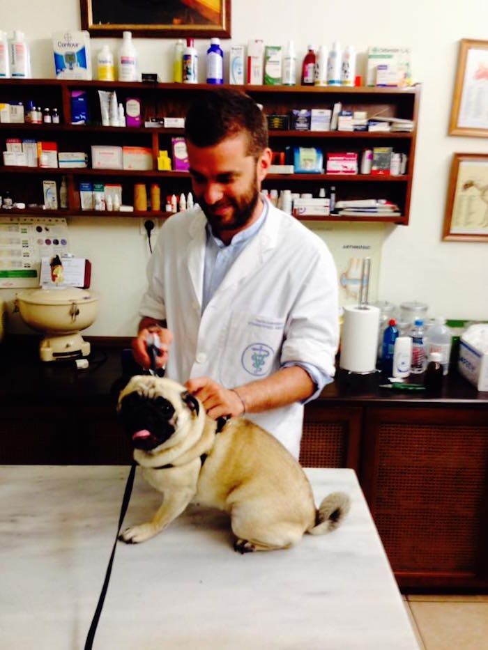 13615065 1086183638123405 7250555310572584920 n f45eb