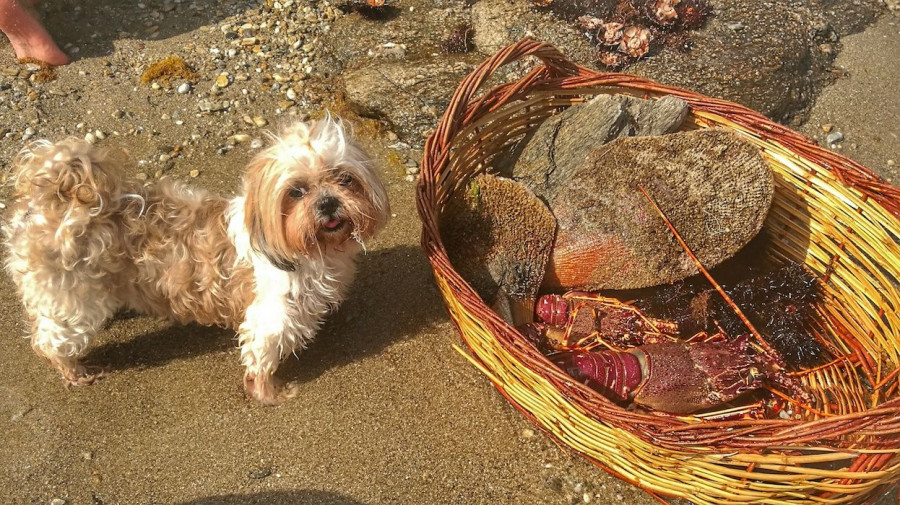 IMG 20160626 165726 01 91a6f