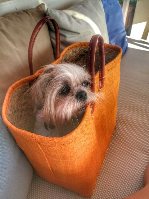 IMG 20160713 184219 01