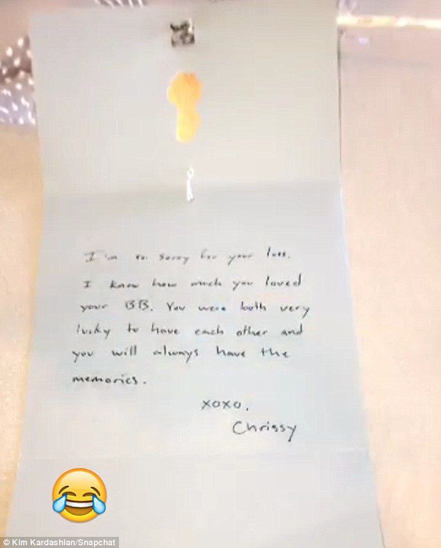 36E873CE00000578 3725709 image m 9 1470416342301