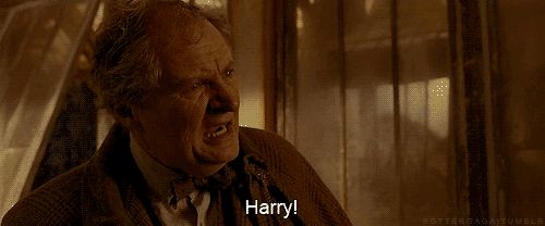 tumblr mptuotUtiH1st5gvqo1 500