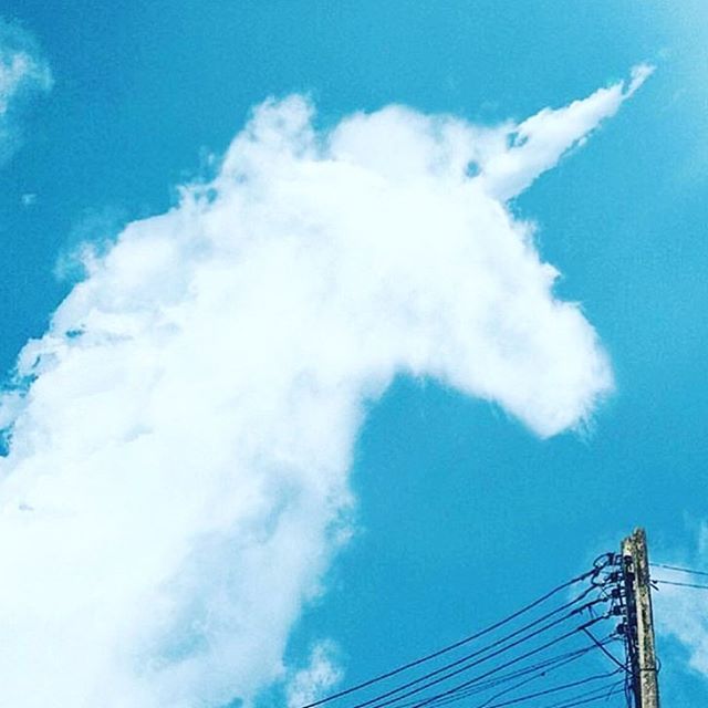 12568285 519406491573628 1586693558 n