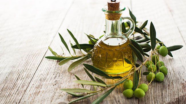OLIVE oil for hair 650x365