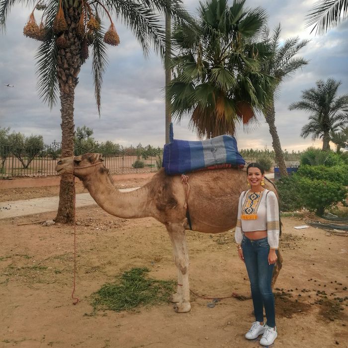 IMG 20160914 190210 03