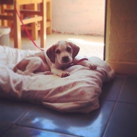 10345805 10201824920093897 3814567590131552381 n