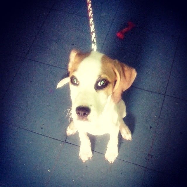 10534725 10202153768514902 4542173341030252882 n