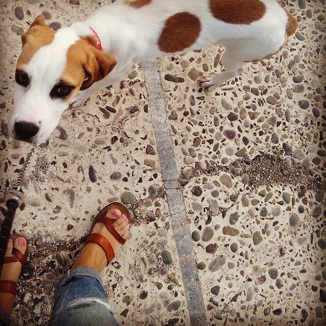 10628096 10202536557884397 2020095297214441486 n