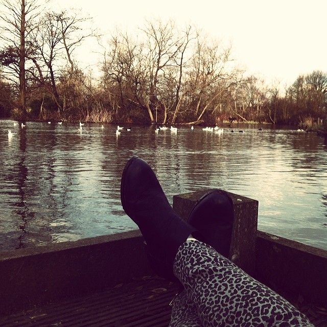 1911647 661123517262586 140761188 n