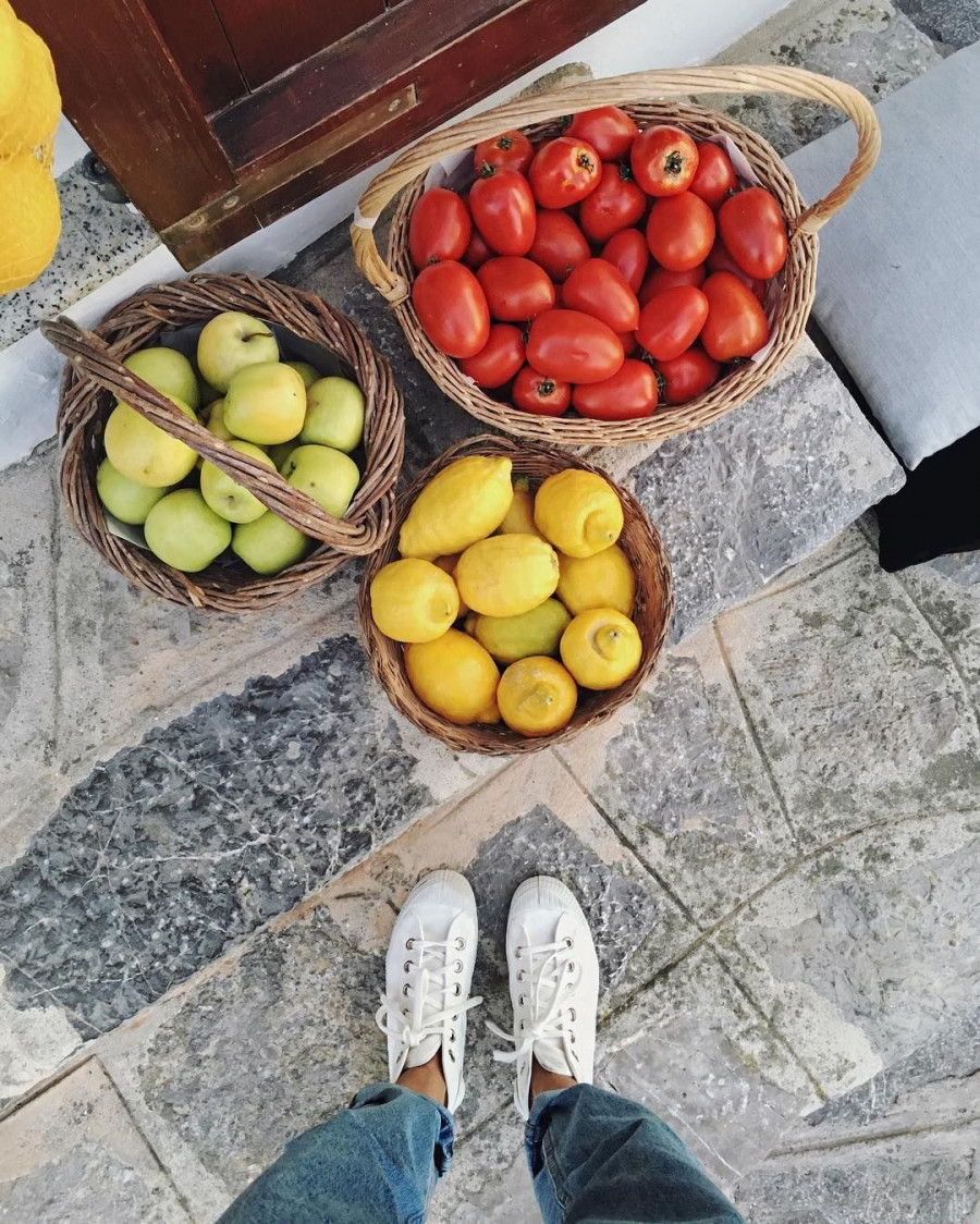 13556841 1770154049872279 1520837313 n