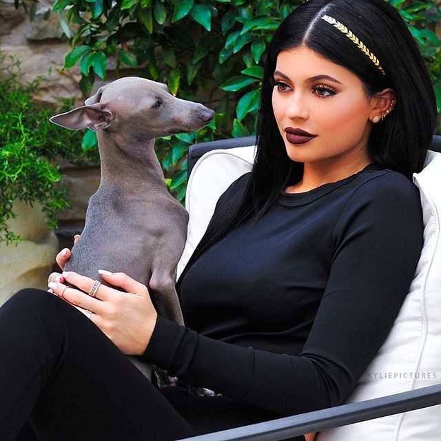 12145583 1638903916389443 535233292 n d0f79