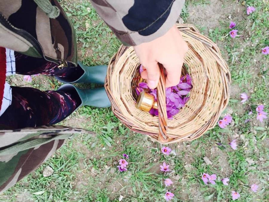 15327719 1276322679106433 1680285958 n